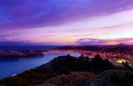 5 Day Dunedin, Queenstown and Milford Tour5 Day Dunedin, Queenstown and Milford Tour