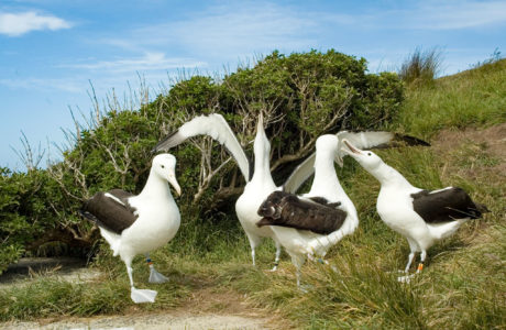 8 Day Southern Traverse Tour