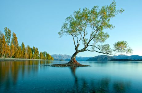 Wanaka, South Island Tours