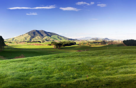 North Island Tours