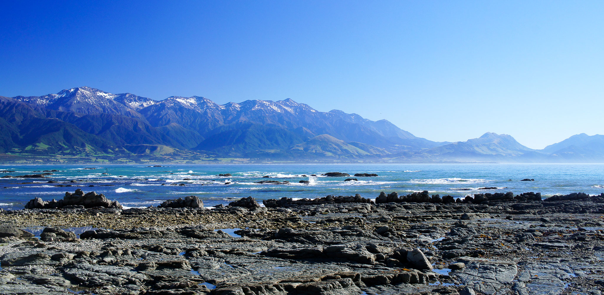 Kaikoura Full Day Private Sightseeing Tour Scenic Pacific Tours