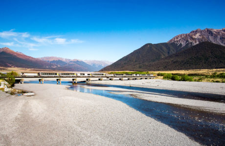 South Island Tours