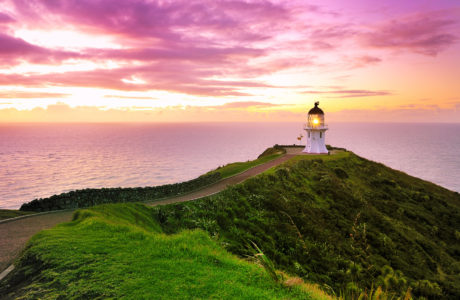 New Zealand Tours