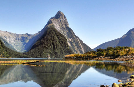 Milford South, New Zealand Tours