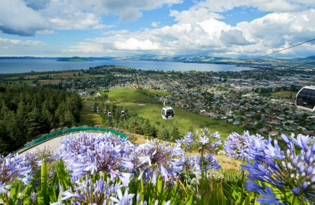 y Classic New Zealand Panorama Guided Tour