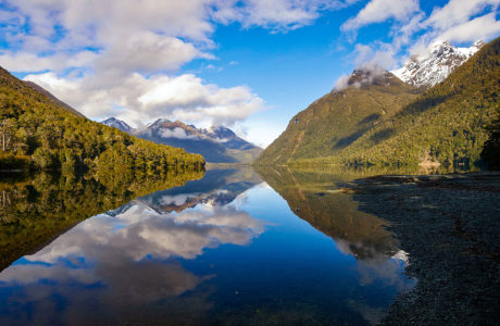 Tours including Fiordland
