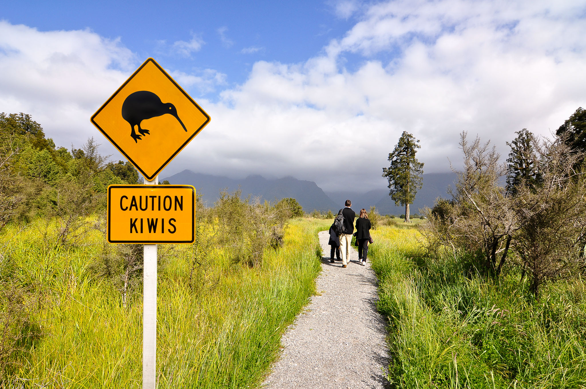 New Zealand Tours New Zealand Tours