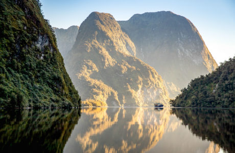 South Island Tours