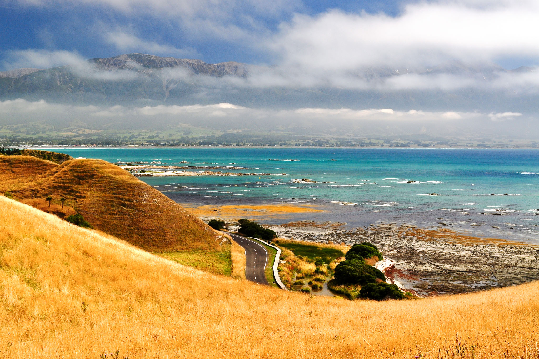 Kaikoura Day Tour Scenic Pacific Tours