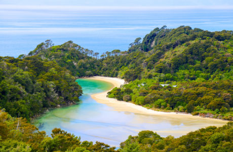 New Zealand Tours