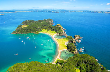 New Zealand Tours