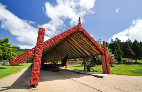 North Island Tours