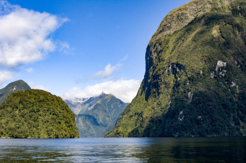 doubtful sound overnight cruise