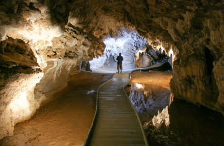 North Island Tours