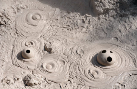 Tours including Rotorua