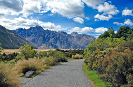 Mt Cook Tours