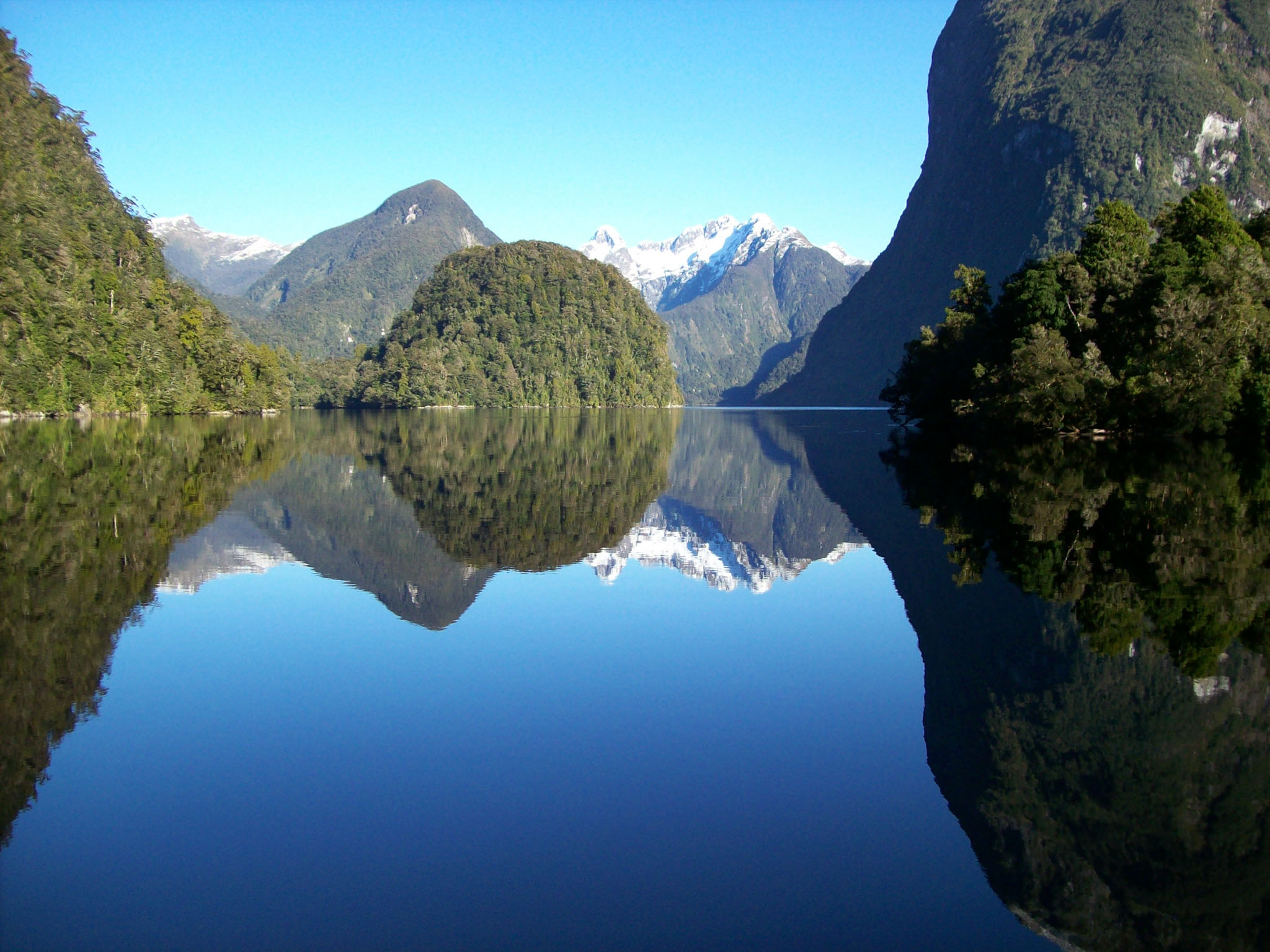 new zealand doubtful sound overnight cruise