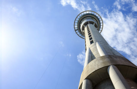 Spectacular Auckland Tour
