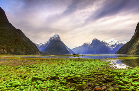 Amazing Milford Sound Day Tour