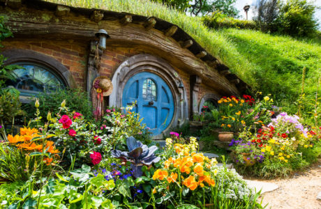 Hobbiton and Waitomo Experience