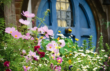 Hobbiton and Waitomo Experience