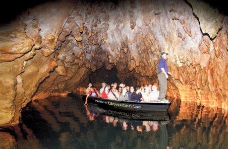 Waitomo Glowworm Caves, North Island Tours