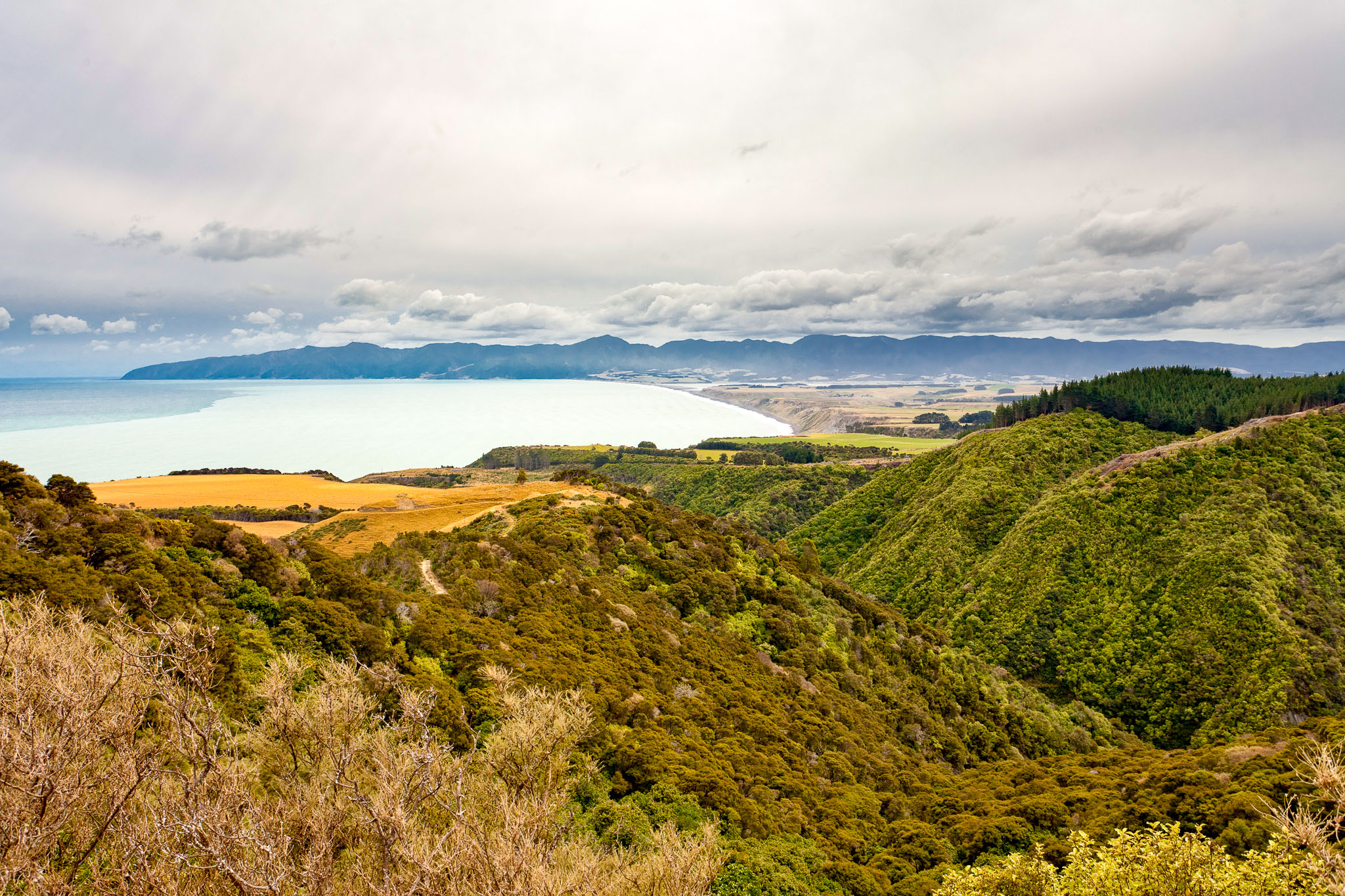 Palliser Bay Off The Beaten Track Tour Scenic Pacific Tours