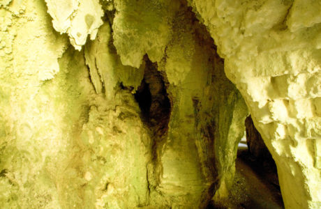 Waitomo and Rotorua Experience Tour