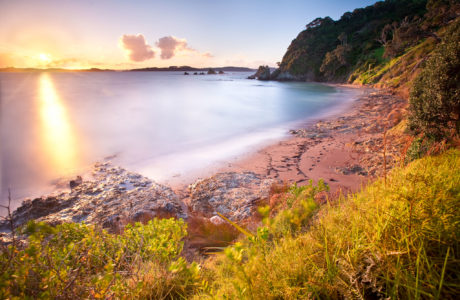 Bay of Islands Day Tour including Historic Russell Tour