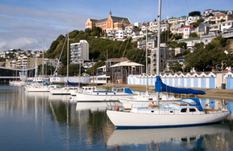 City Sights and Coastline Tour