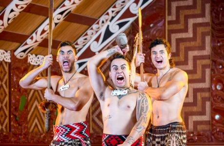 Waitomo and Rotorua Experience Tour