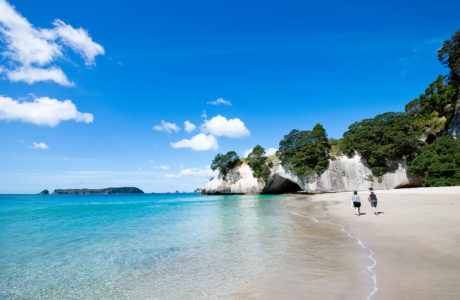 Coromandel Tours