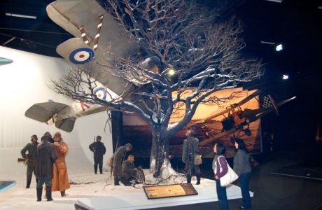 Tours in Marlborough