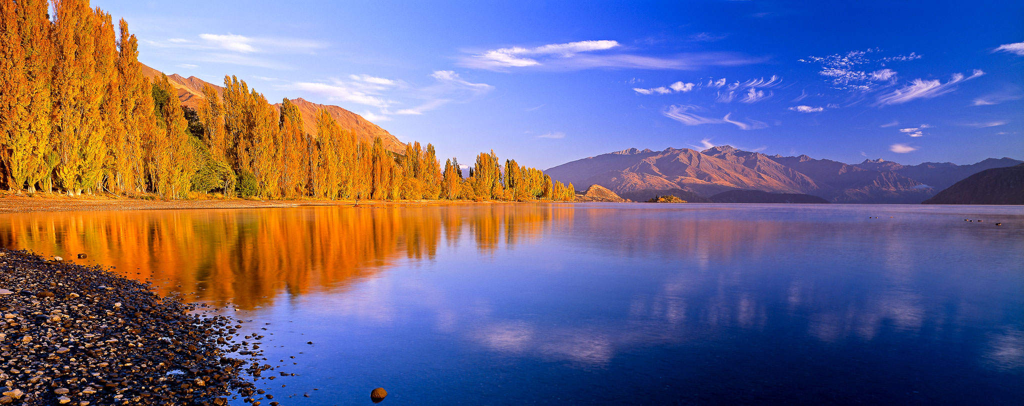 Fox Glacier to Queenstown Coach Service Scenic Pacific Tours