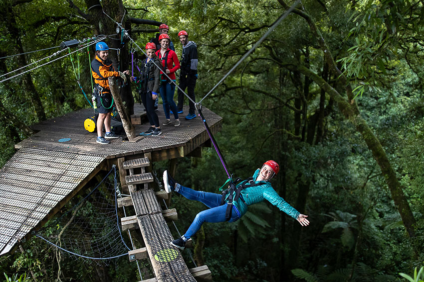 canopy tour meaning