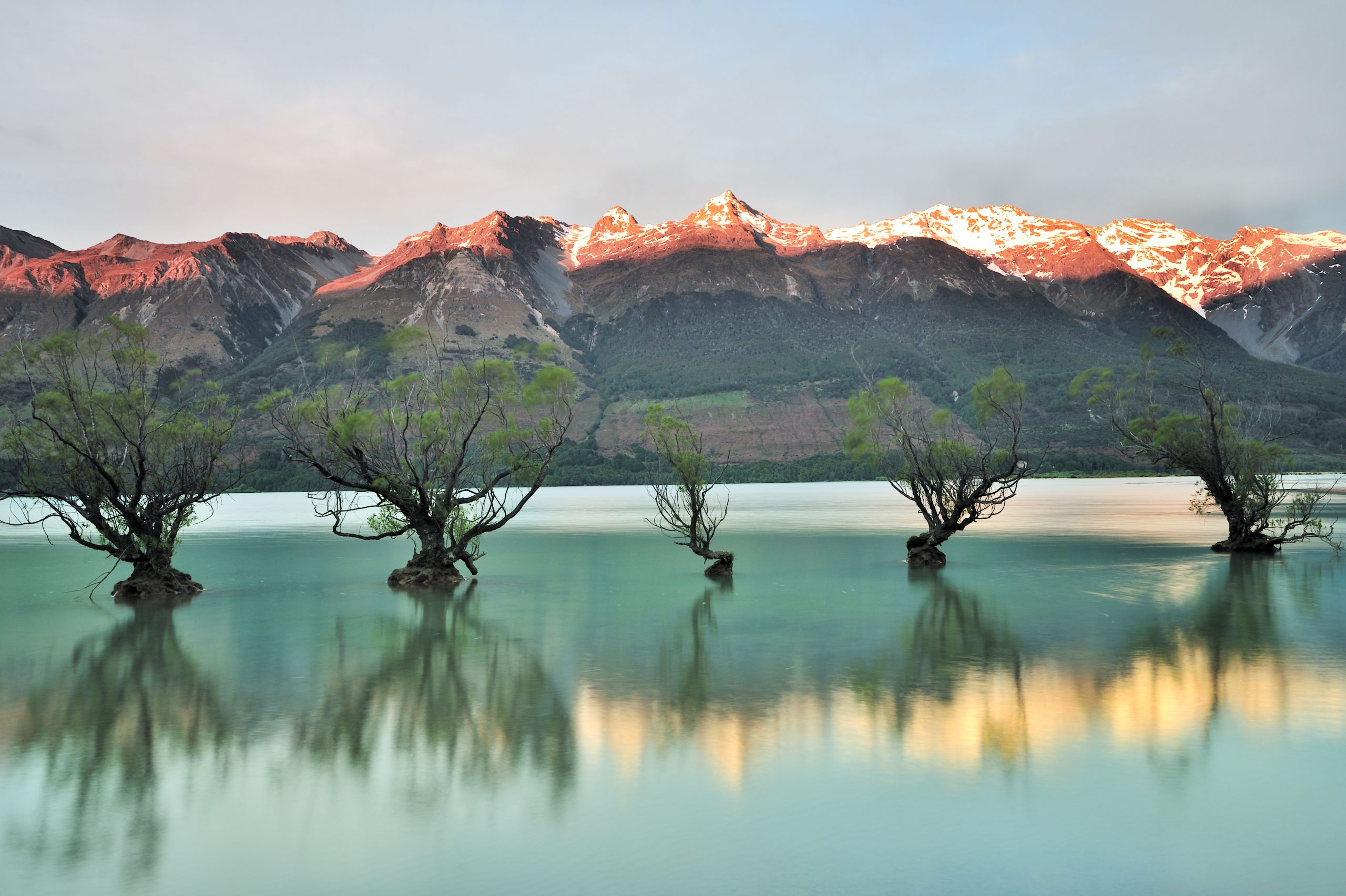 queenstown glacier tour