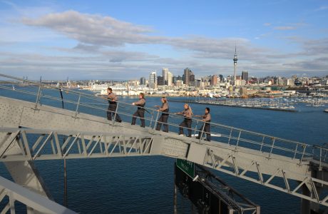 Auckland Tours