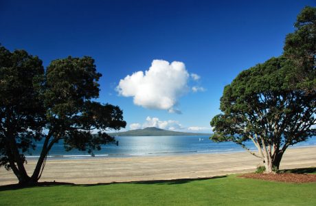 Auckland Tours