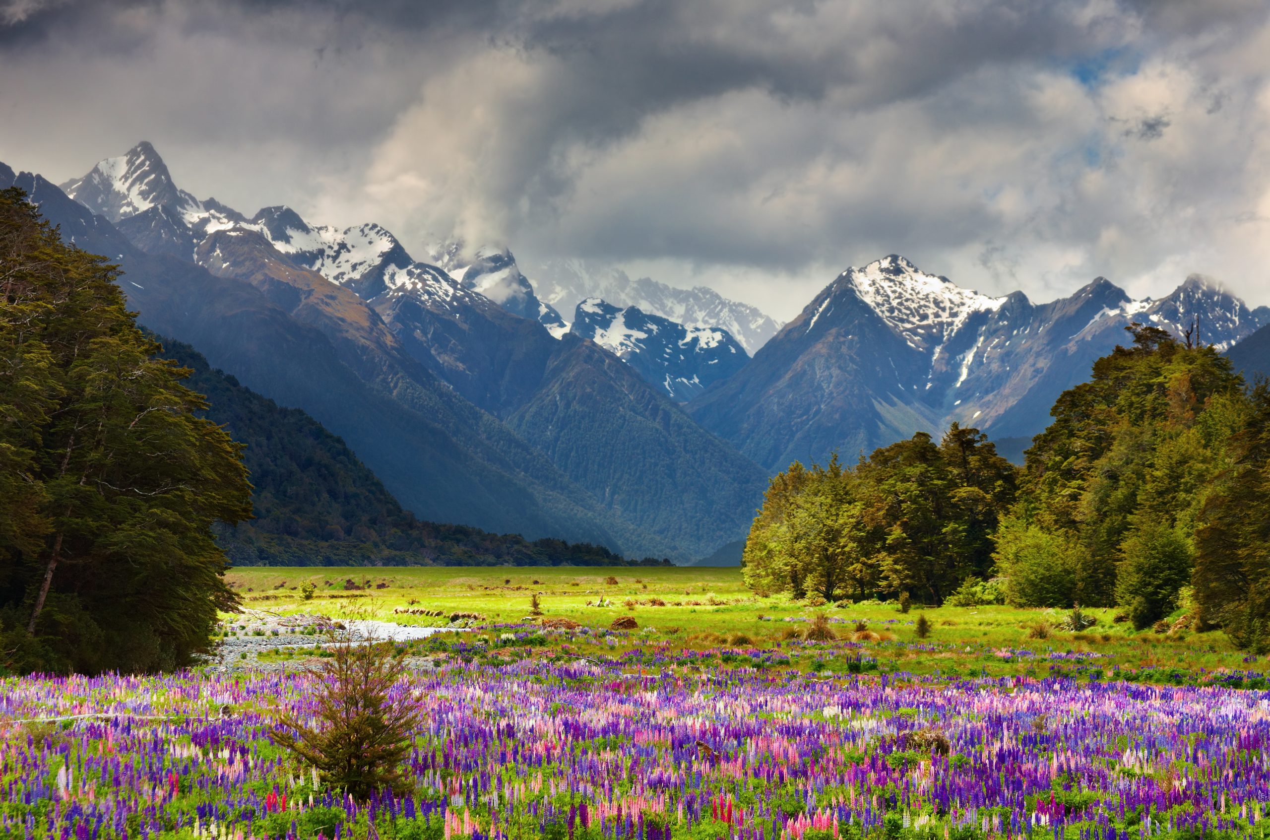 New Zealand scenery
